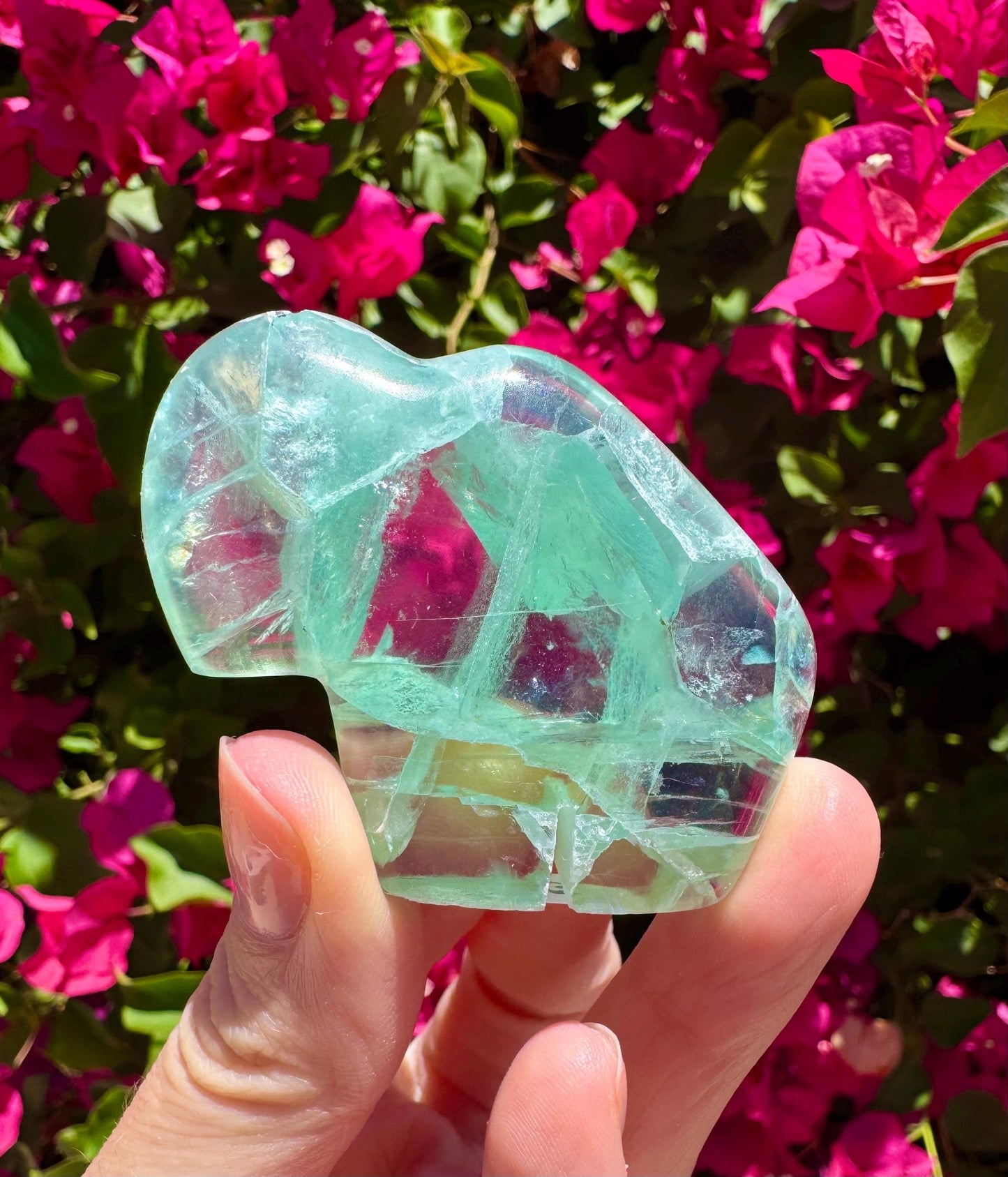 Mexican Fluorite Handcarved Buffalo Zuni Totem Animal Carving