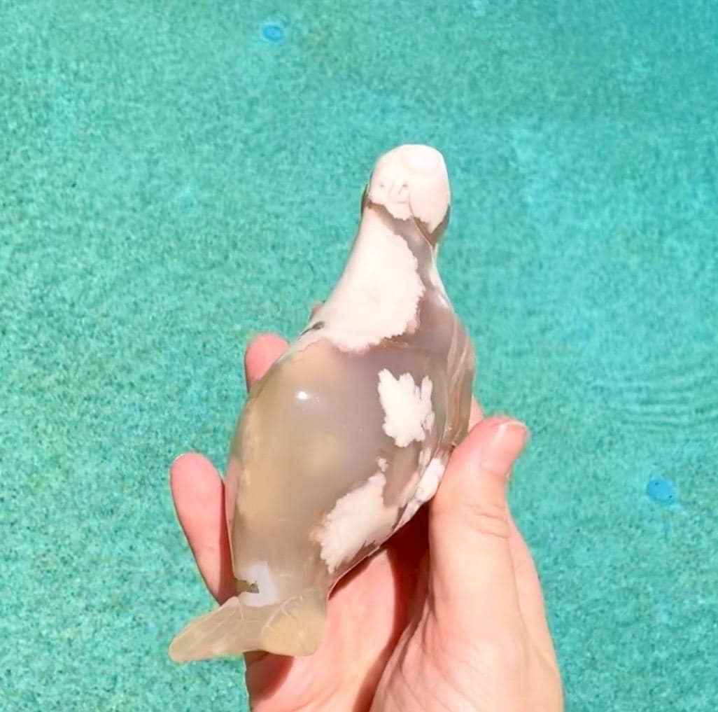 Flower Agate Walrus, Flower Agate Sea Lion Carving