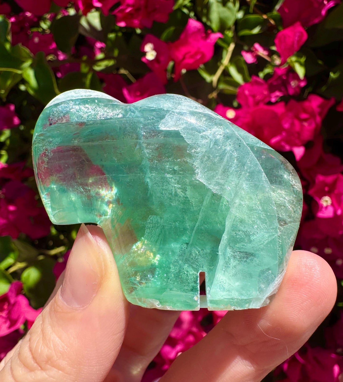 Mexican Fluorite Handcarved Buffalo Zuni Totem Animal Carving