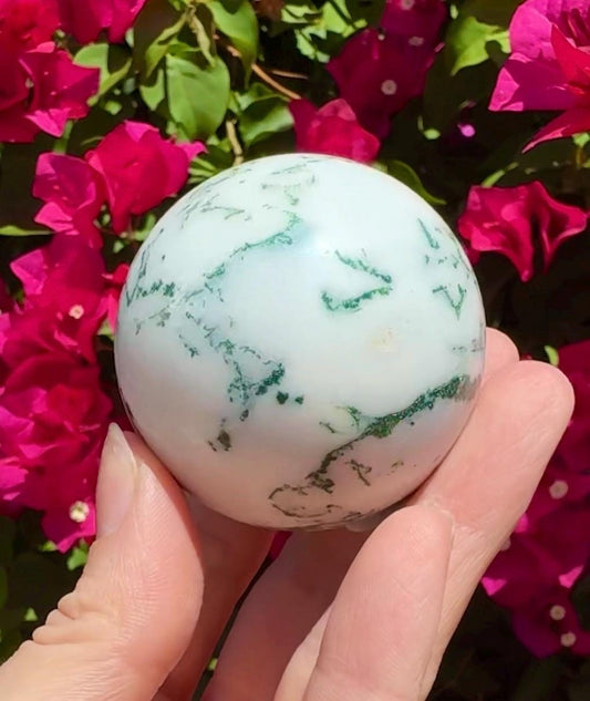 Tree Agate Sphere Crystal Ball