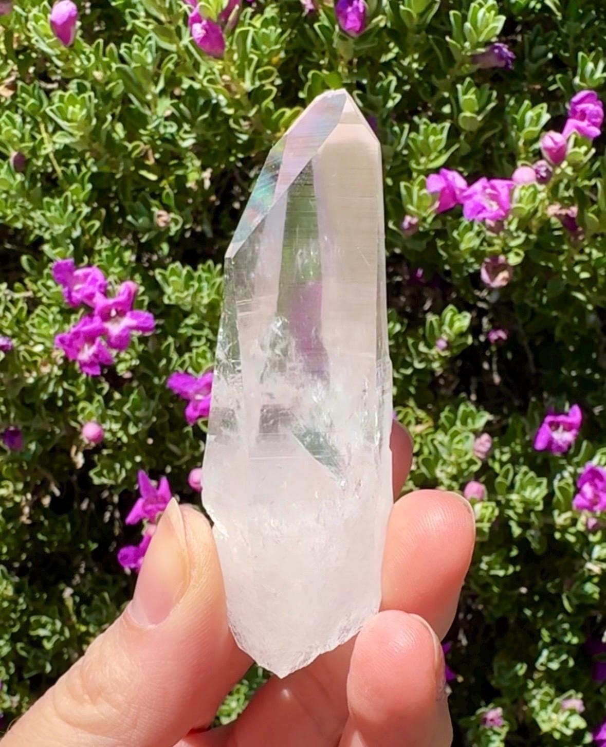 High Quality Colombian Lemurian
