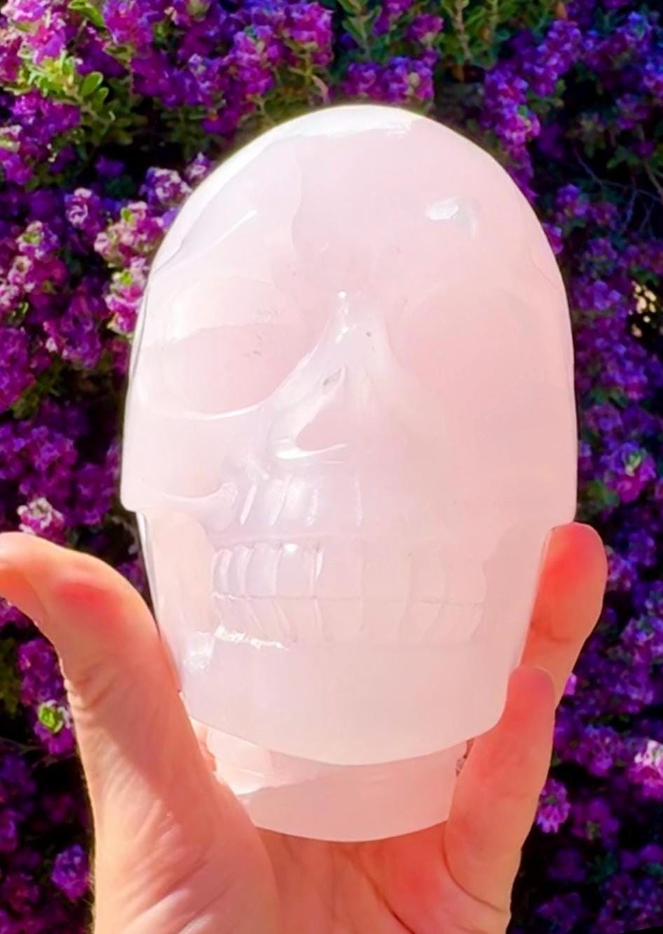 Bright UV Reactive Mangano Calcite Skull With Spine