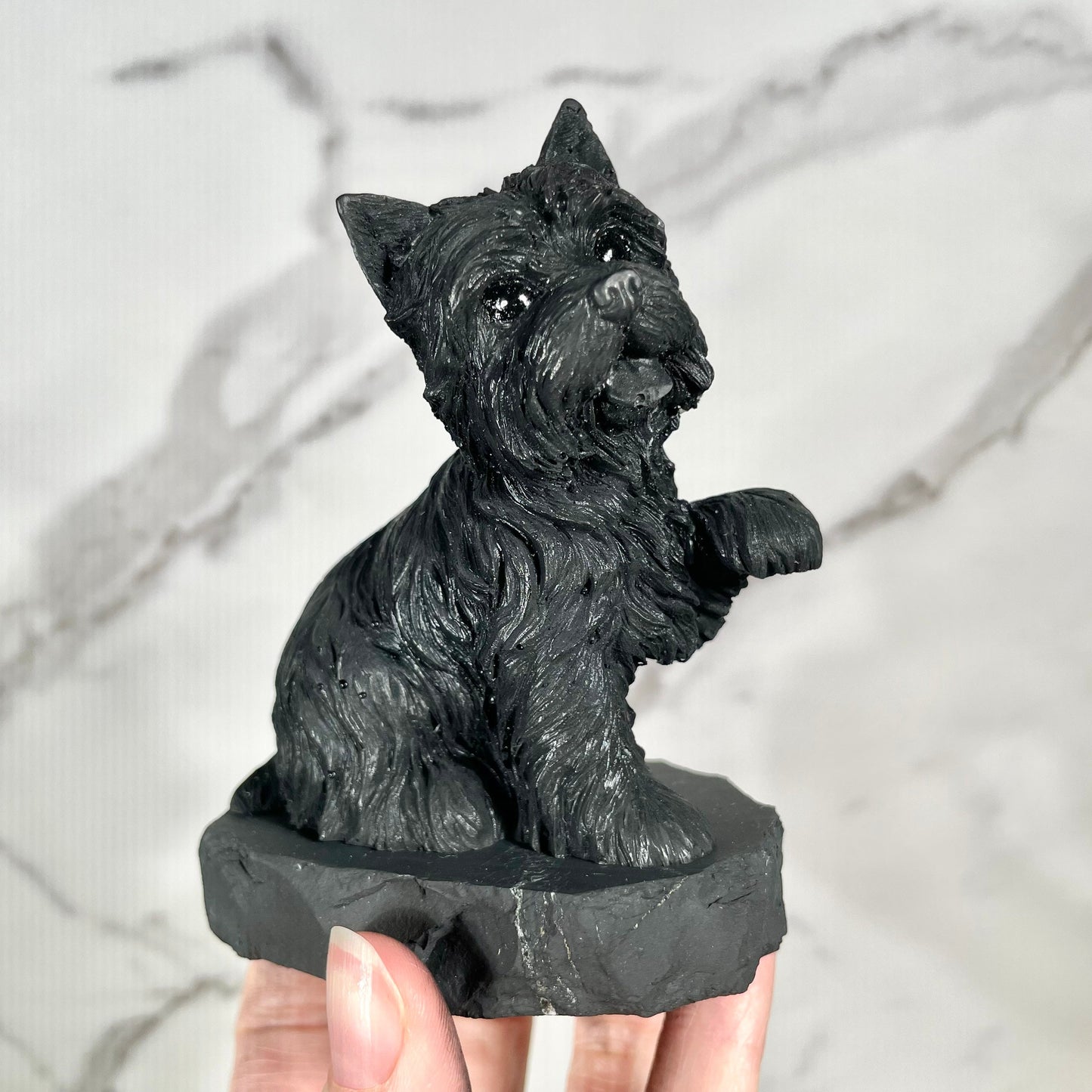 Shungite Terrier Dog