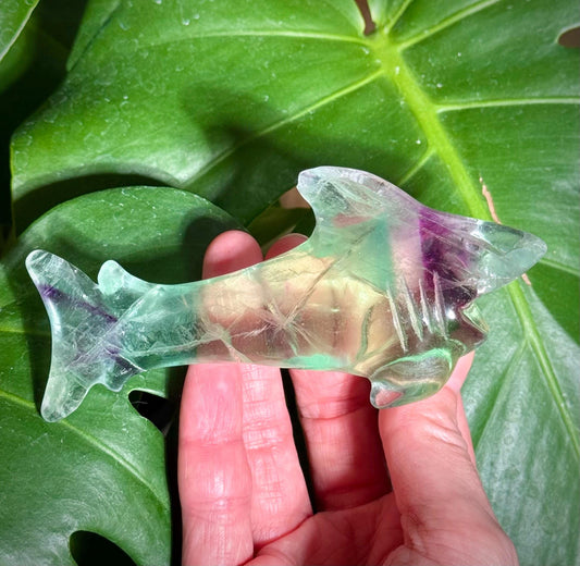 Rainbow Fluorite Shark Carving ***see description
