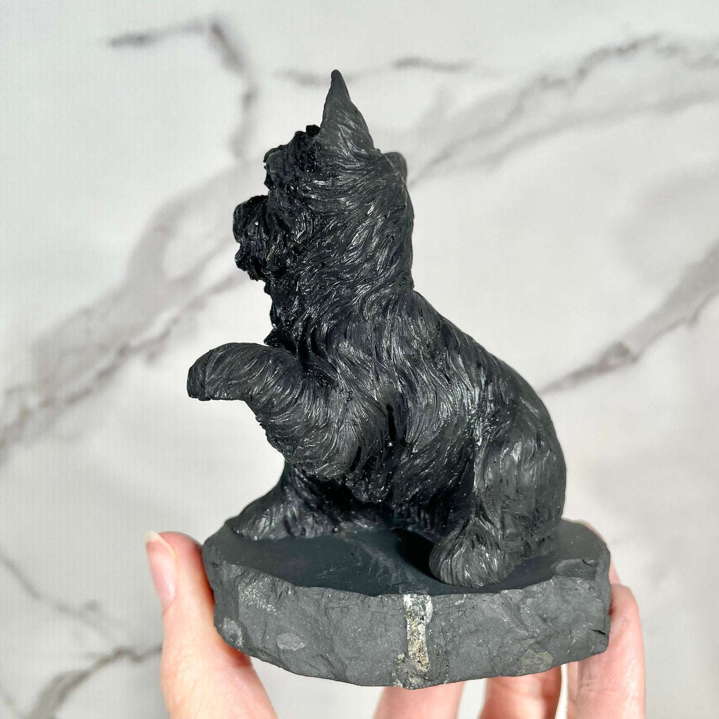 Shungite Terrier Dog