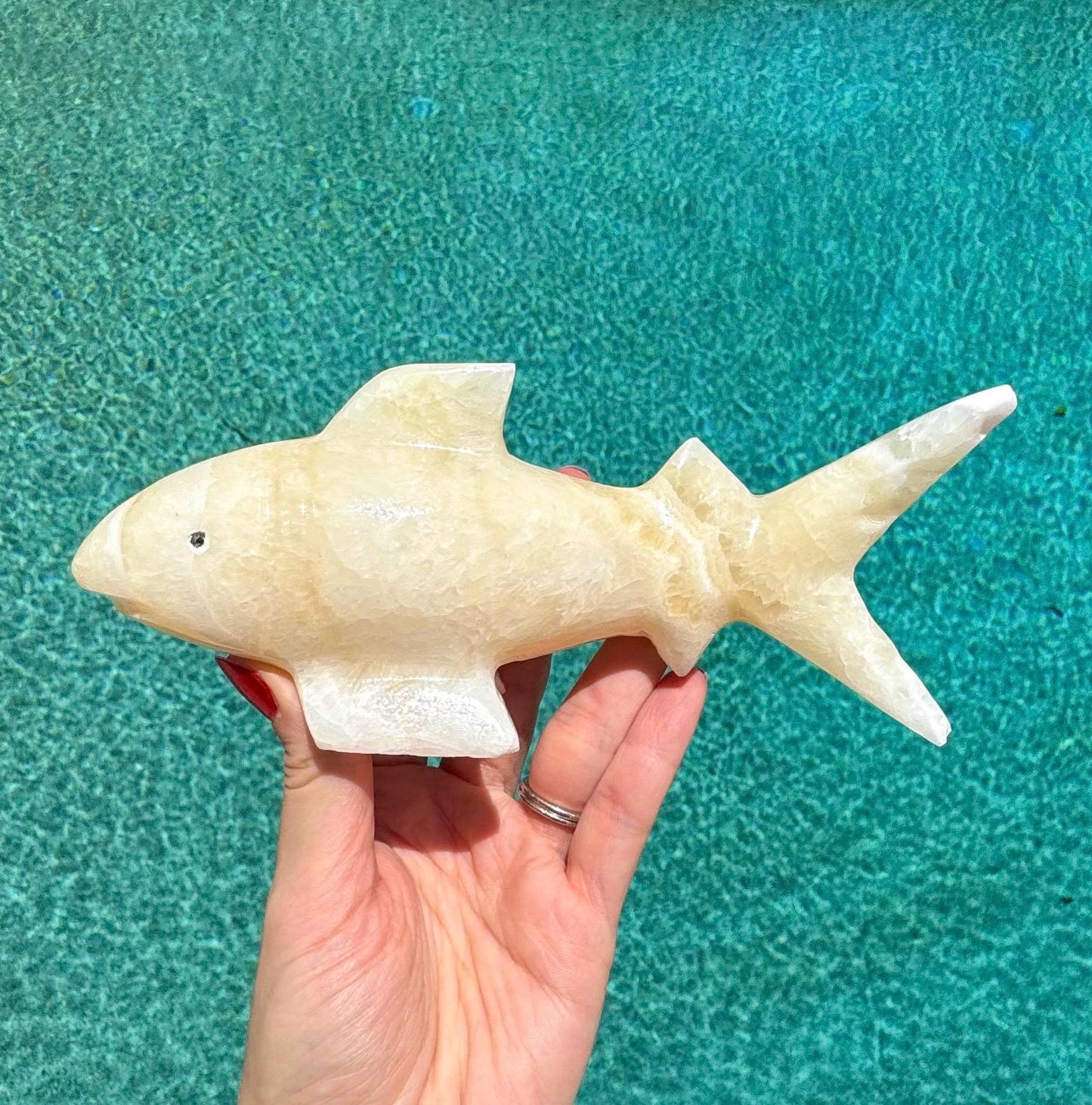 Onyx Shark Carving From Mexico