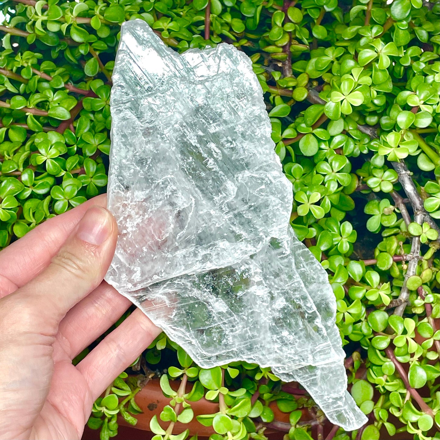 Genuine Selenite Slab