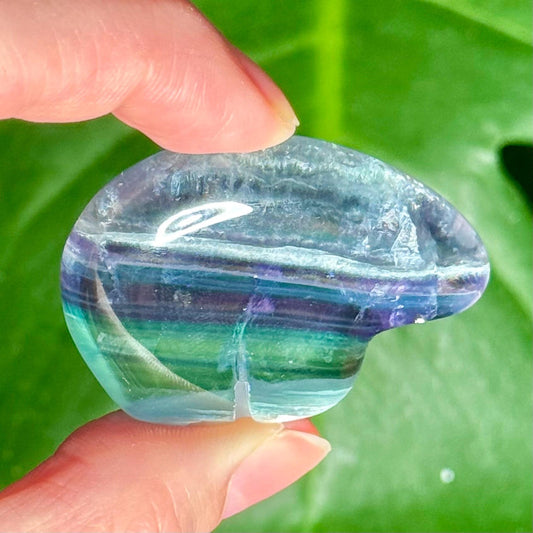 Mexican Fluorite Handcarved Mini Bear Zuni Totem Animal Carving