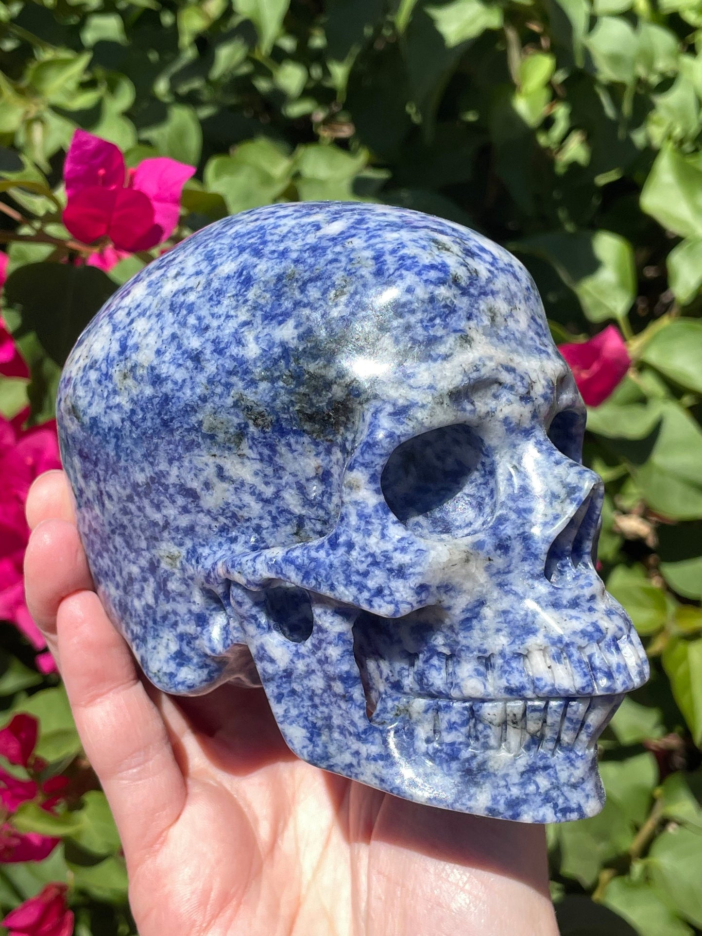 Huge Realistic Sodalite Skull