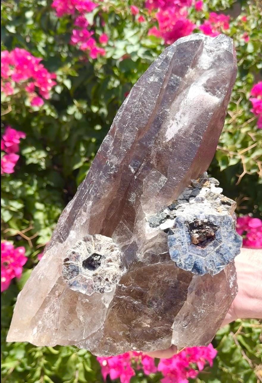 Elestial Smokey Quartz Crystal With Super Seven