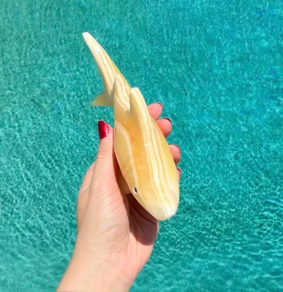 Onyx Shark Carving From Mexico
