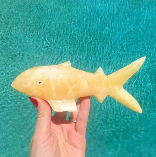 Onyx Shark Carving *Chipped Fin* From Mexico