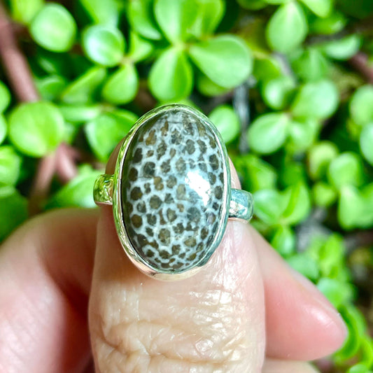 Fossilized Coral Ring