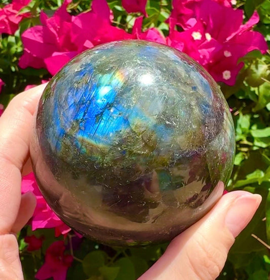 Stunning Blue Labradorite Sphere Big Blue Flashy Labradorite 71mm