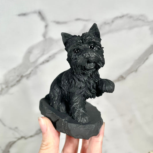 Shungite Terrier Dog