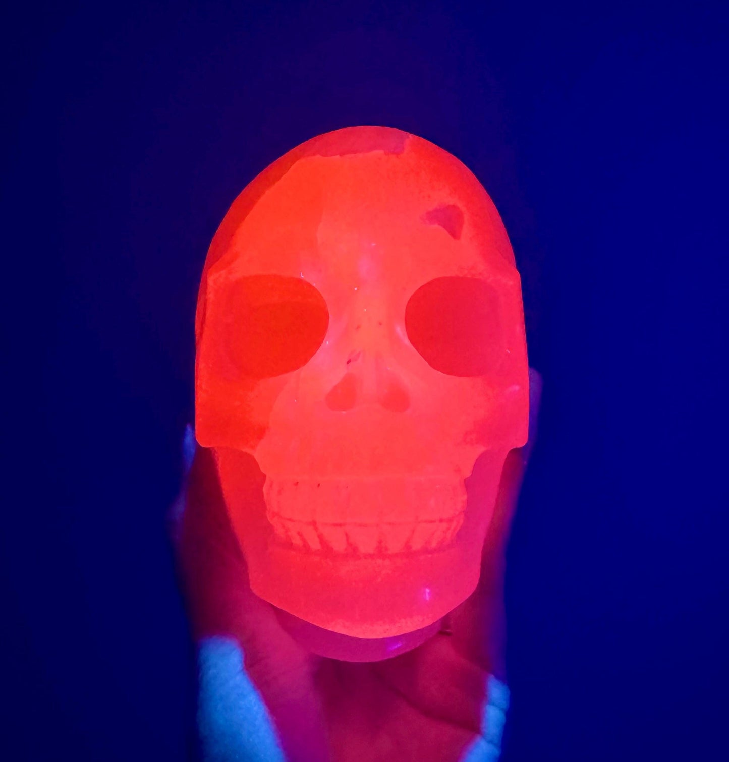 Bright UV Reactive Mangano Calcite Skull With Spine