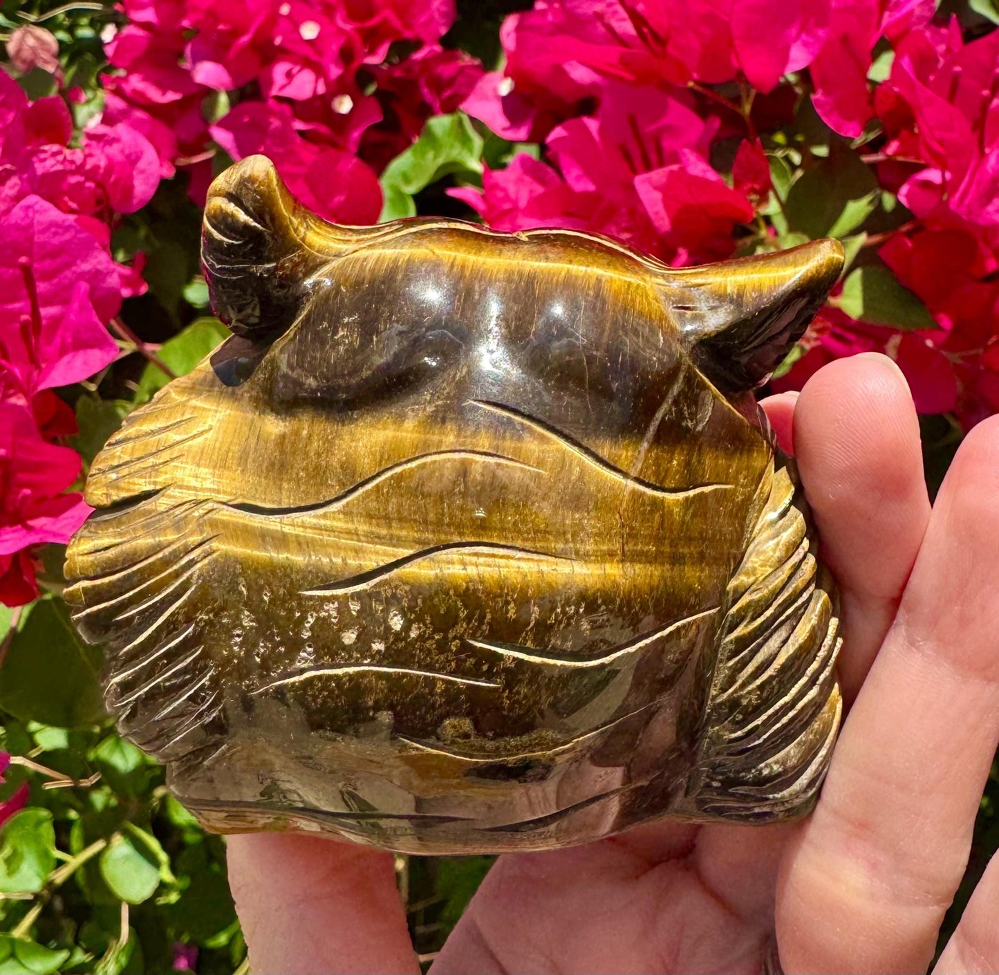 Tiger Eye Crystal Tiger Head Tigers Eye Stone Tiger Head Carving Tiger Spirit Animal