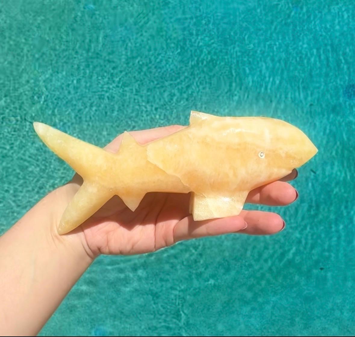 Onyx Shark Carving *Chipped Fin* From Mexico