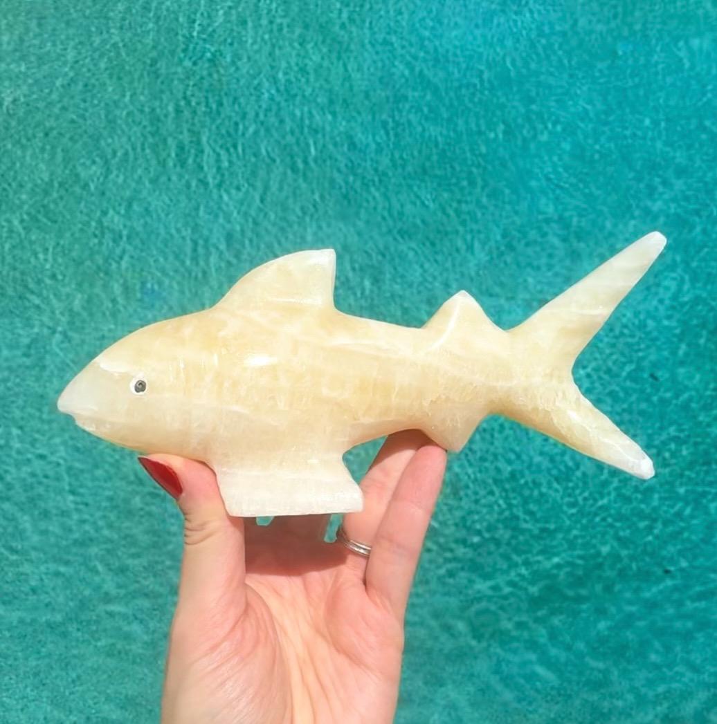 Onyx Shark Carving From Mexico