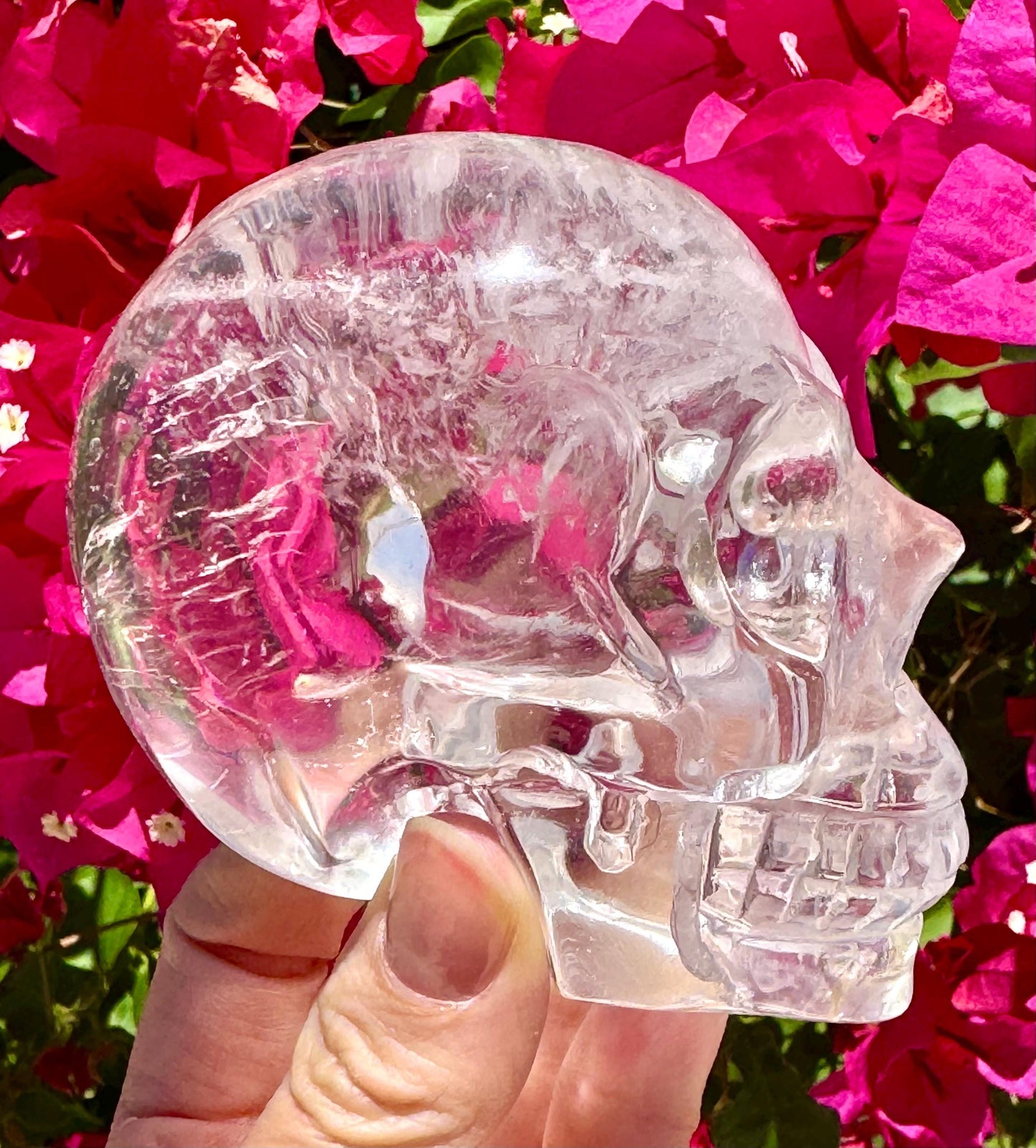 Exceptional Clear Quartz Crystal Skull