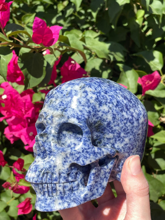 Huge Realistic Sodalite Skull
