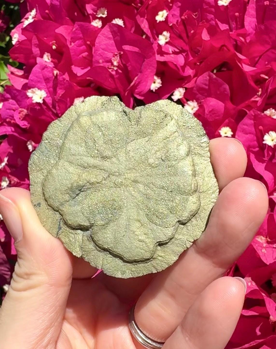Pyrite Sun