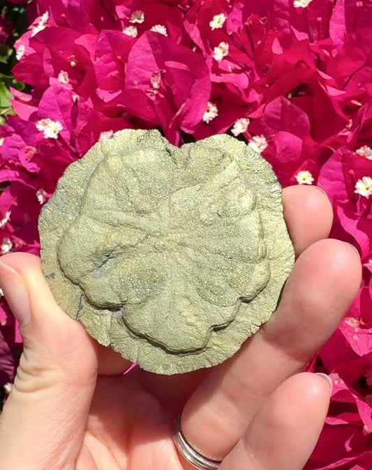Pyrite Sun