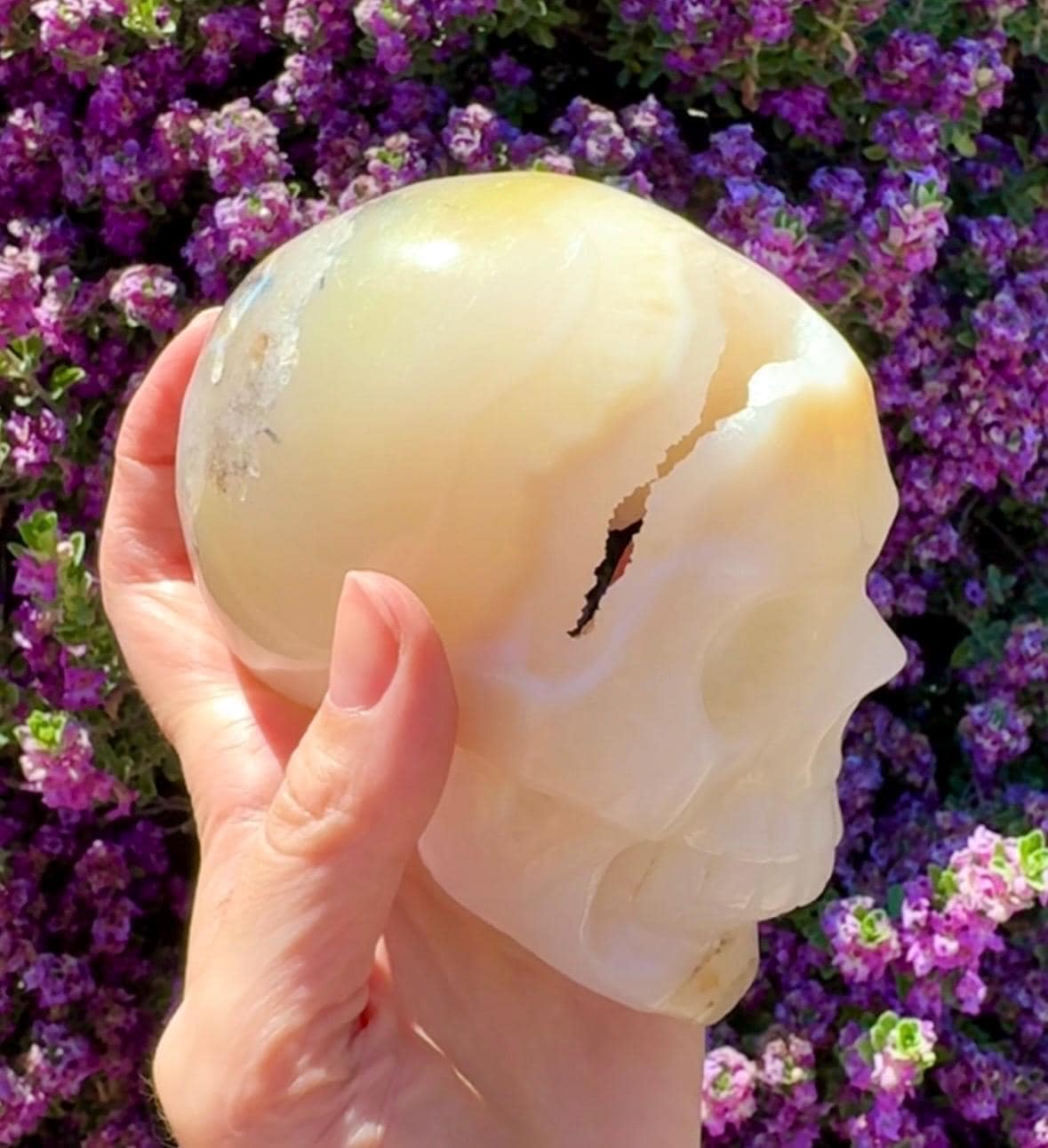 Druzy Agate Crystal Skull