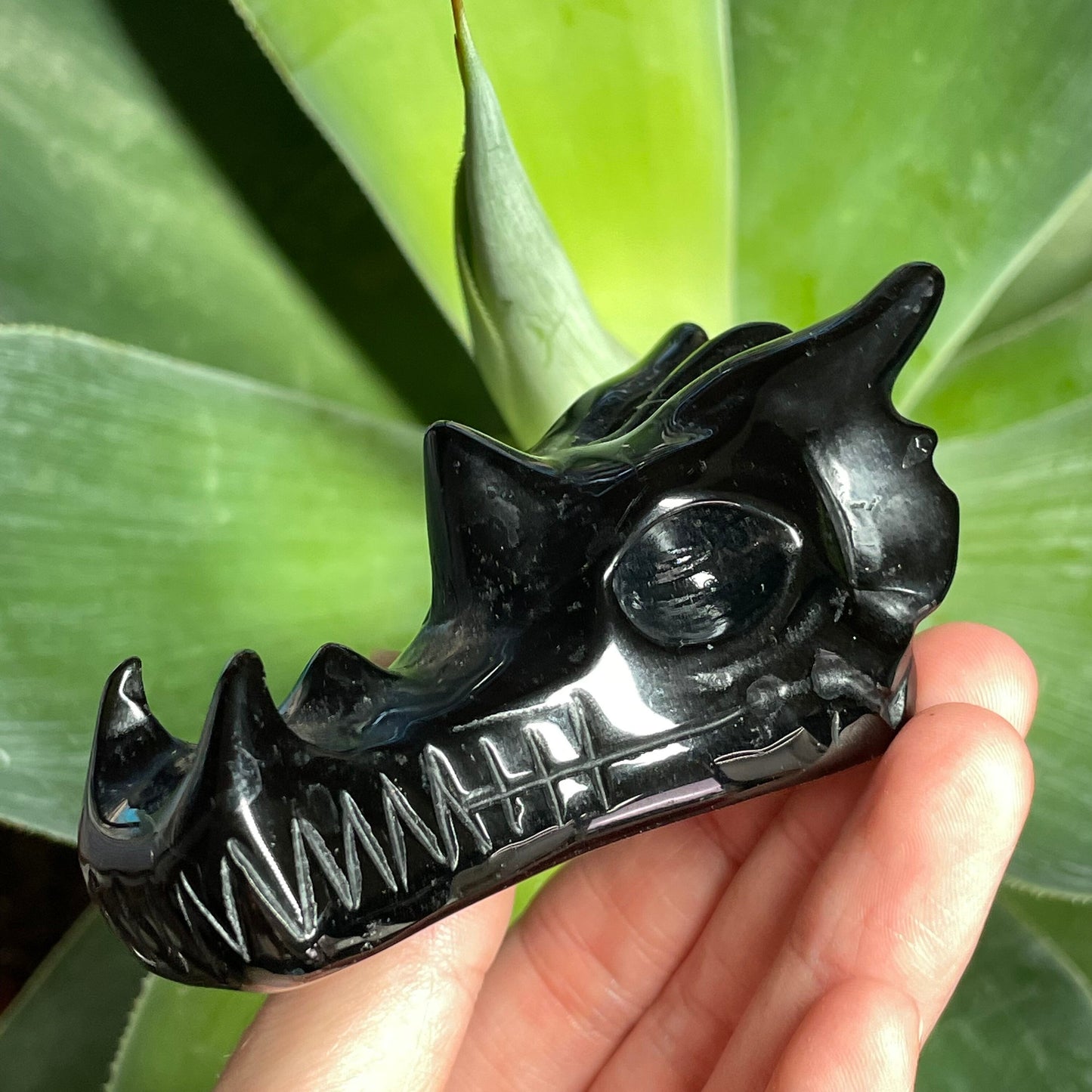 Obsidian Dragon Head