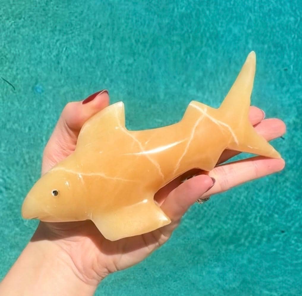 Onyx Shark Carving From Mexico