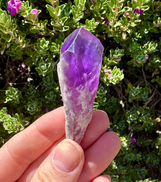 Mini Amethyst Fairy Wand INTUITIVE PICK Amethyst Tooth