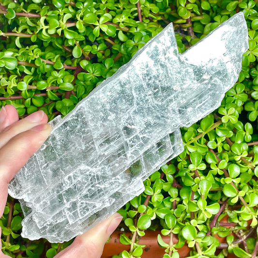 Genuine Selenite Slab