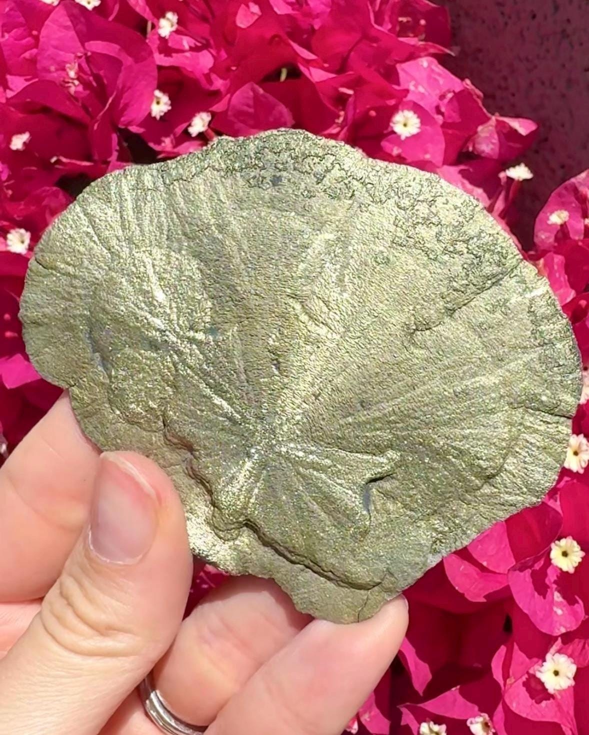 Pyrite Sun
