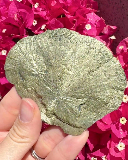 Pyrite Sun