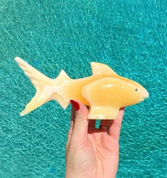 Onyx Shark Carving From Mexico