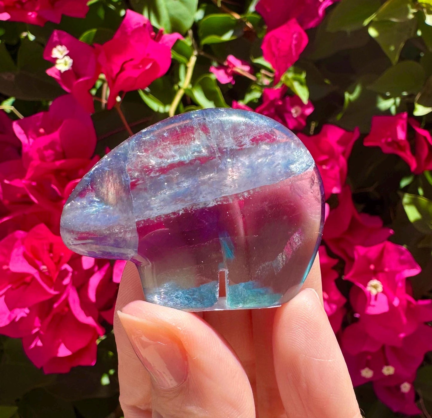 Mexican Fluorite Handcarved Mini Bear Zuni Totem Animal Carving