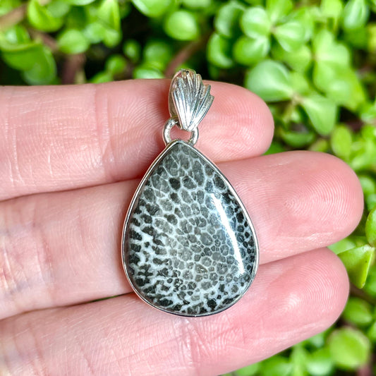 Fossilized Coral Pendant