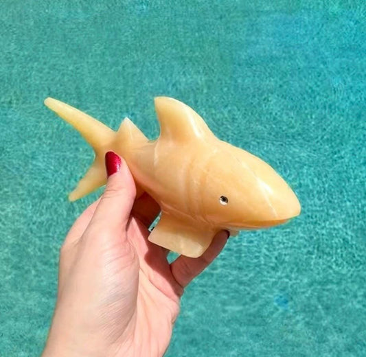 Onyx Shark Carving From Mexico