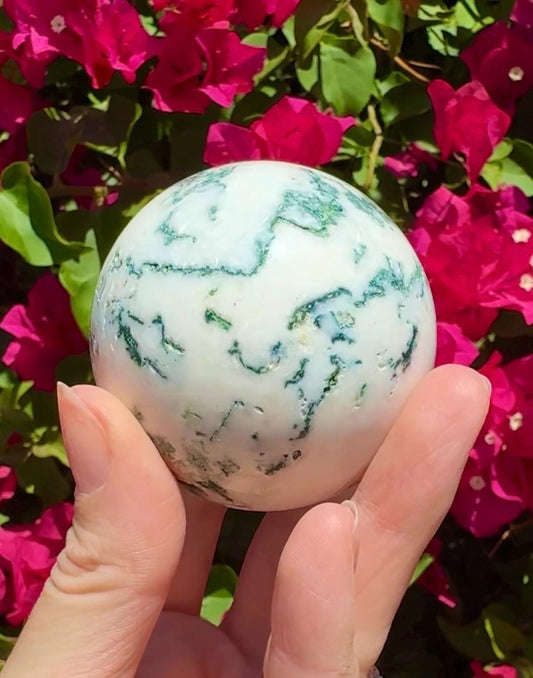 Tree Agate Sphere Crystal Ball