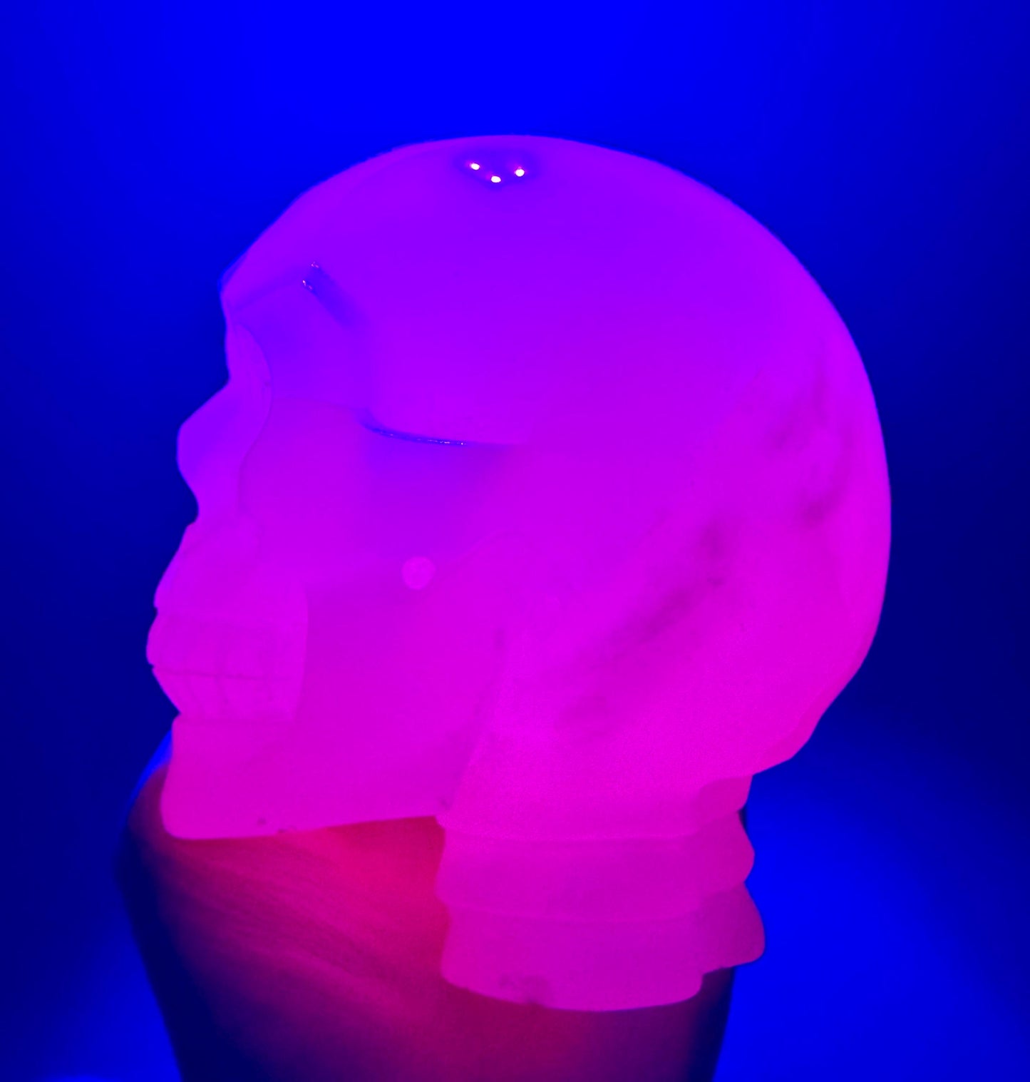 Bright UV Reactive Mangano Calcite Skull With Spine