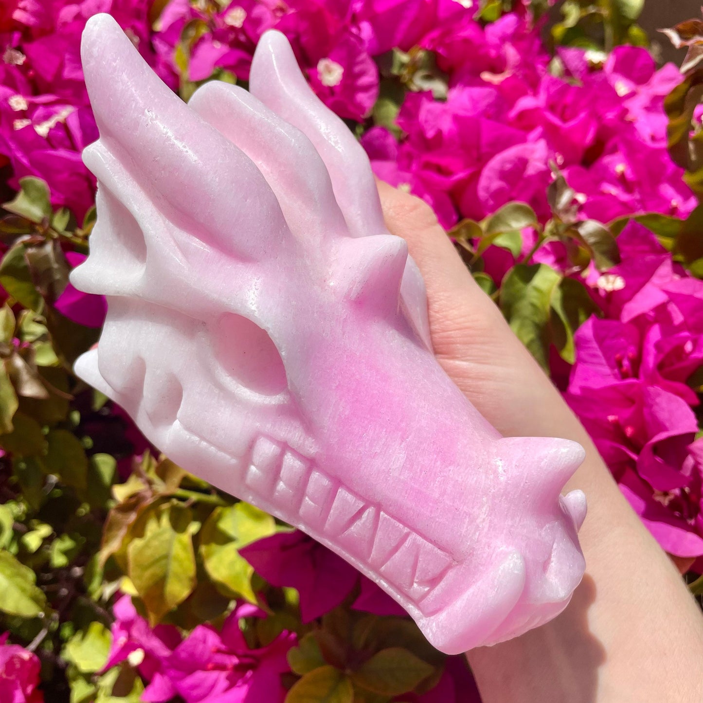 Stunning Pink Aragonite Dragon Head