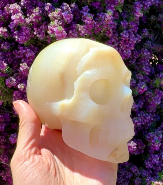Druzy Agate Crystal Skull