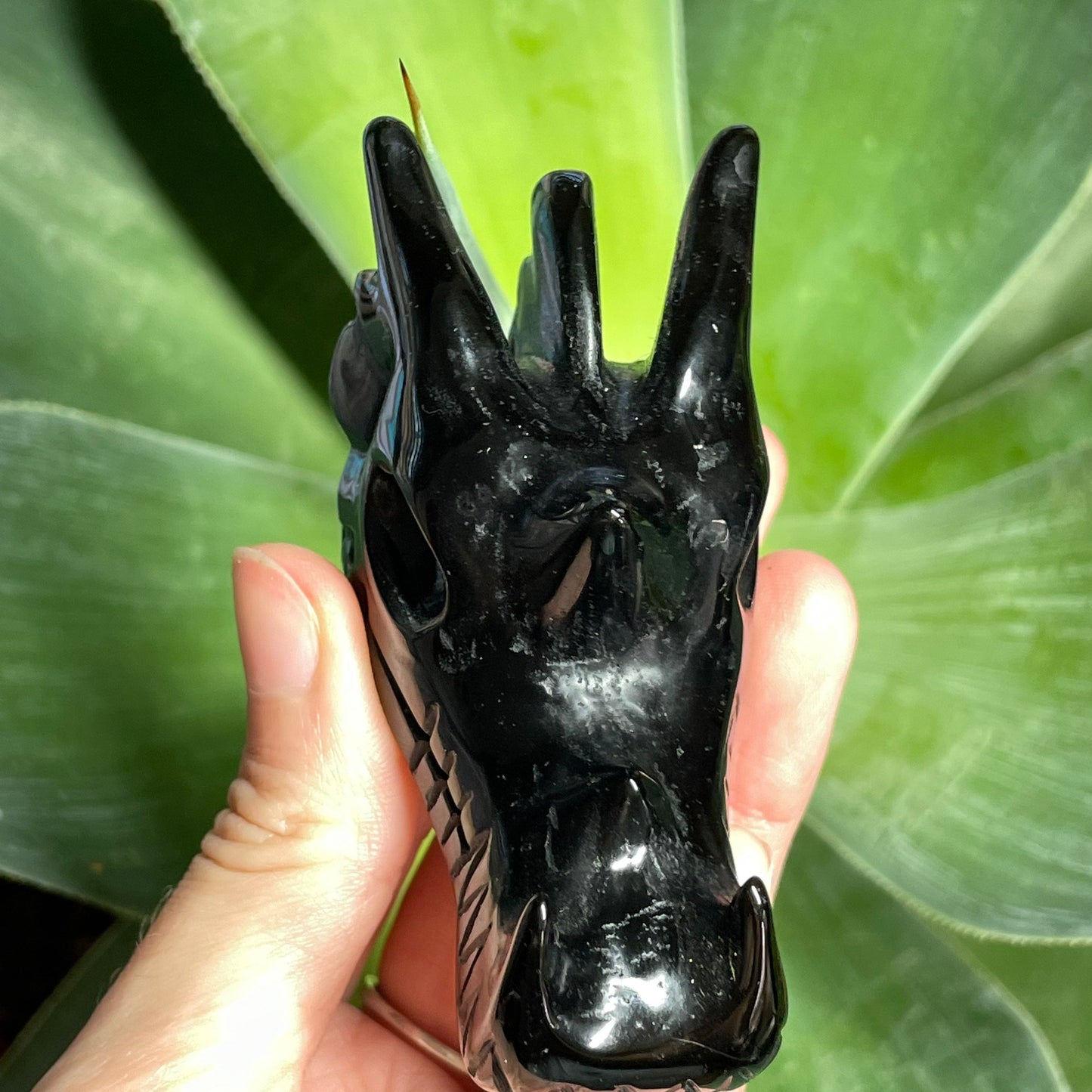 Obsidian Dragon Head