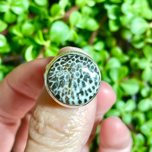 Fossilized Coral Ring