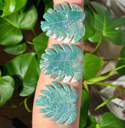Gorgeous Moss Agate Monstera Leaf
