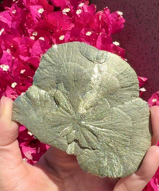Pyrite Sun
