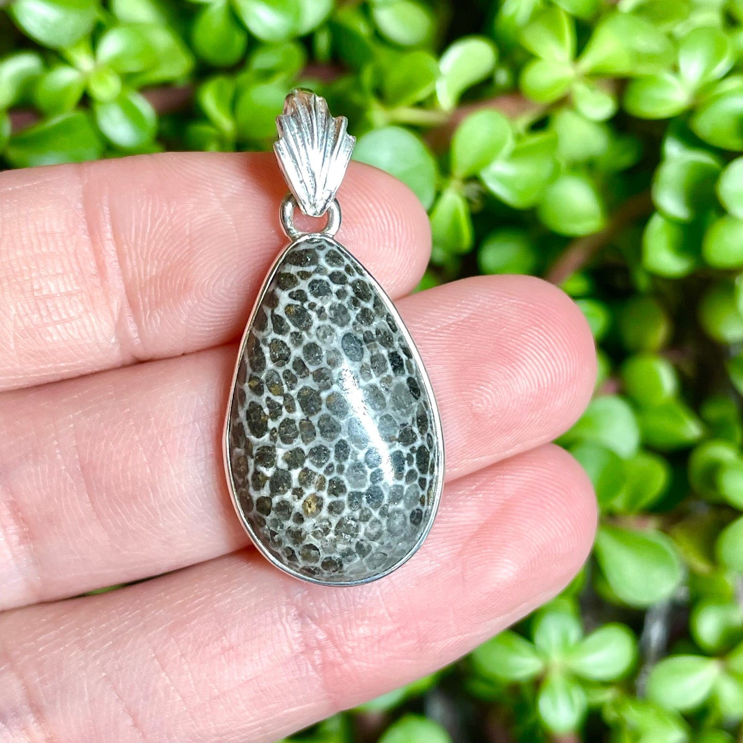 Fossilized Coral Pendant