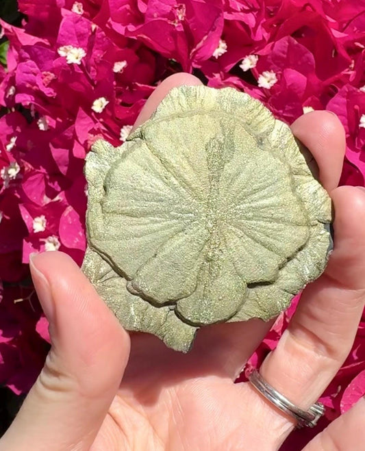 Pyrite Sun