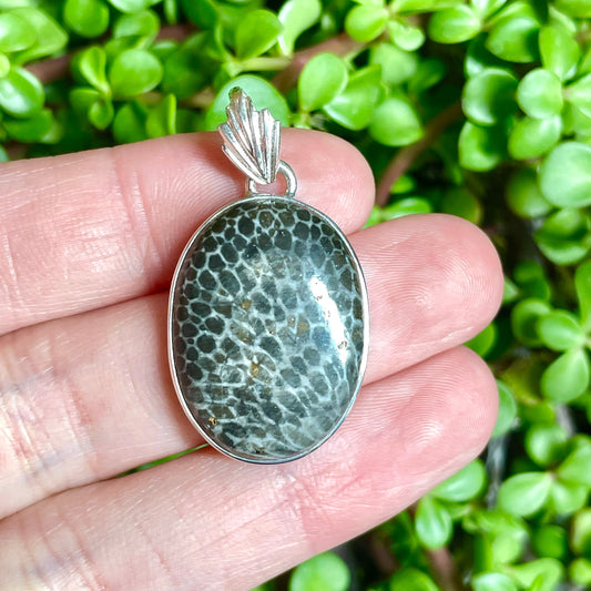 Fossilized Coral Pendant