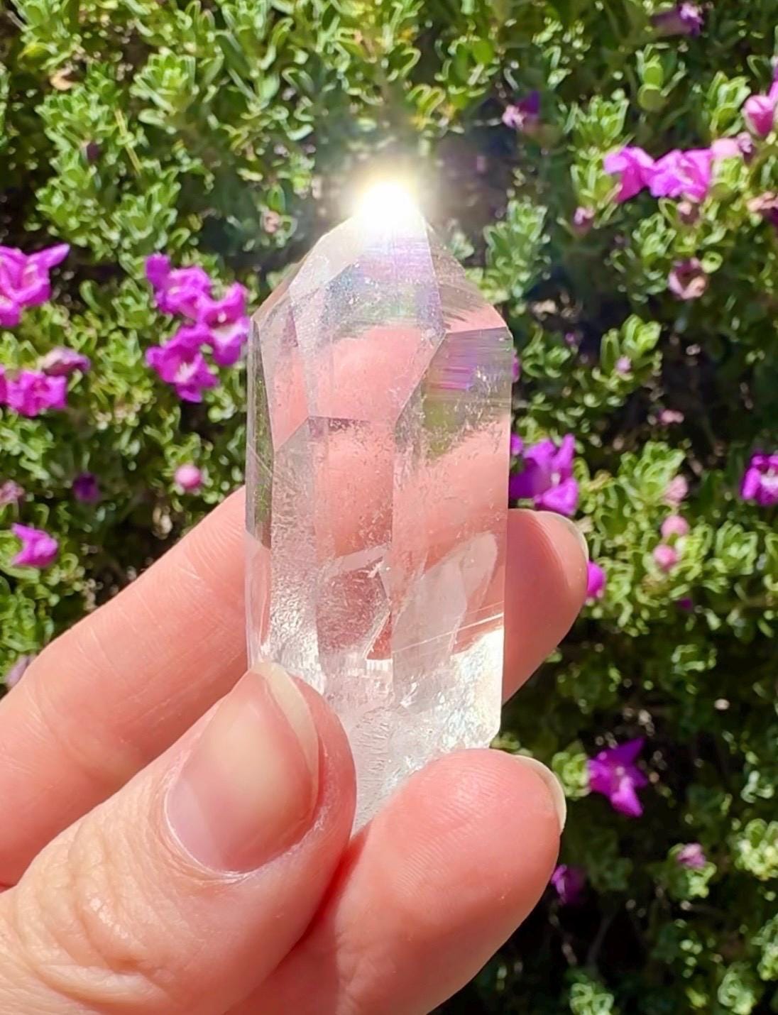 High Quality Colombian Lemurian